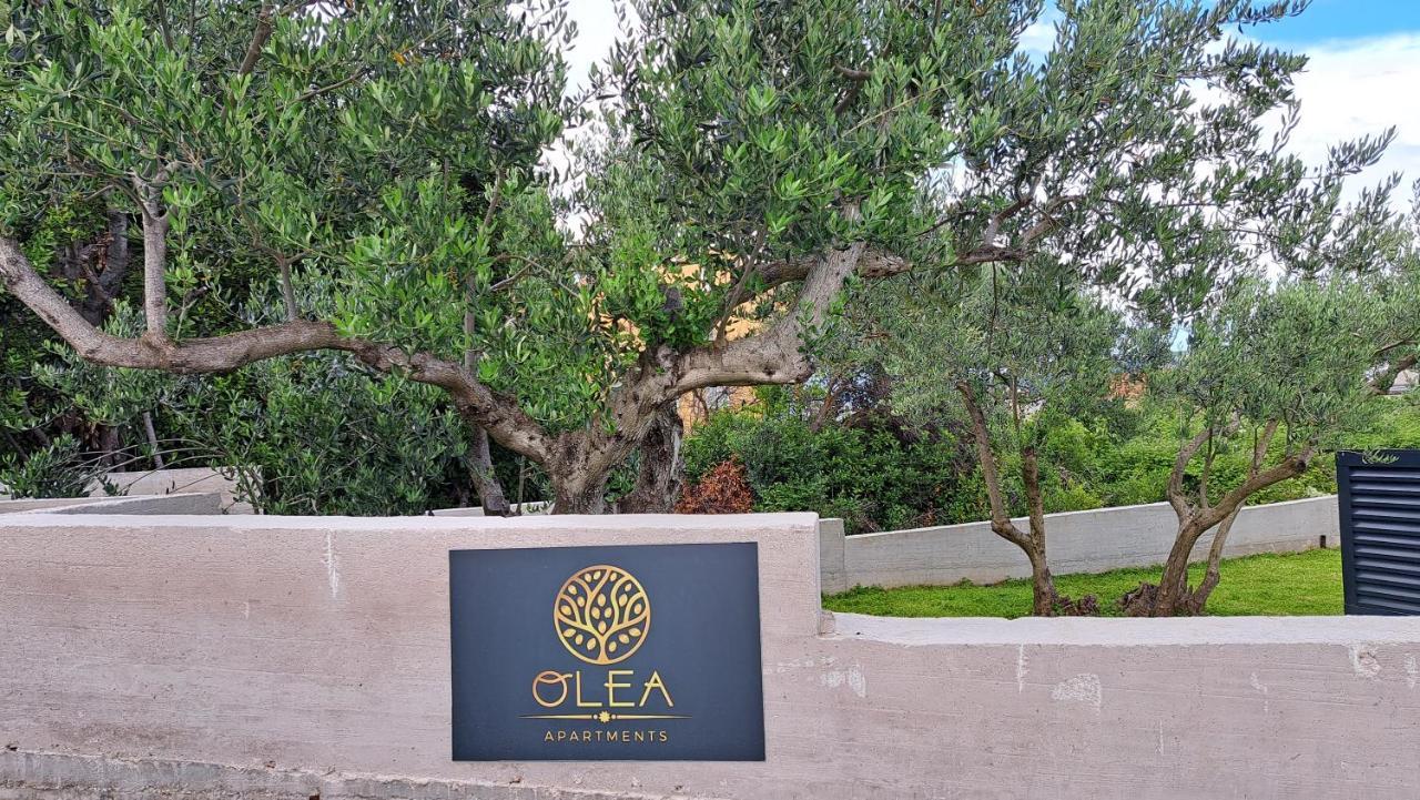 Olea Apartments Traù Esterno foto